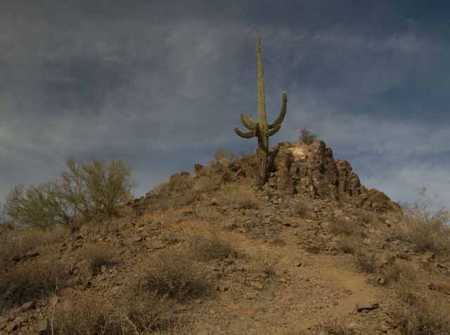 Lake Pleasant Regional Park